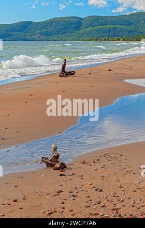 Driftwood sur une rive sablonneuse éloignée de la baie Agawa dans le parc provincial du lac supérieur en Ontario Banque D'Images