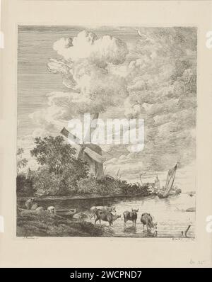 Face de rivière avec moulin et vaches dans l'eau, Pieter Gerardus van OS, d'après Jacob Isaacksz van Ruisdael, 1791 - 1839 imprimer la vache de gravure de papier de la Haye. paysages avec eaux, paysages aquatiques, paysages marins (dans la zone tempérée). moulin à vent dans le paysage Banque D'Images