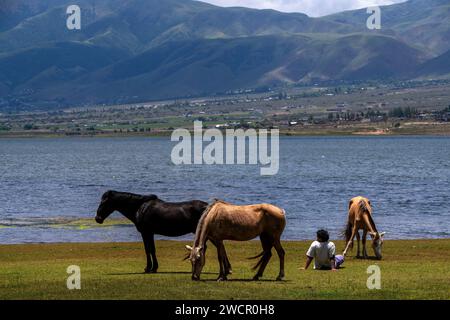 Chevaux et touristes sur les rives du lac la Angostura à El Mollar, province de Tucuman, Argentine Banque D'Images