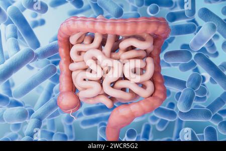 Tractus intestinal avec concept de santé digestive, rendu 3D. Illustration 3D. Banque D'Images