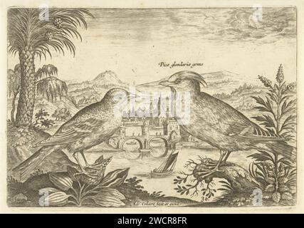 Deux oiseaux dans un paysage, Adriaen Collaert, 1598 - 1602 imprimer Un oiseau de peste et un autre oiseau au premier plan. En arrière-plan un pont sur une rivière. L'impression fait partie d'une série avec les oiseaux comme sujet. Anvers gravure papier chants-oiseaux : waxwing. oiseaux chanteurs. paysage avec pont, viaduc ou aqueduc (+ ville(-scape) avec figures, staffage) Banque D'Images