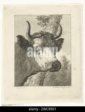 Tête de vache à droite, Joannes Bemme, d'après Jan Asselijn, 1802 papier d'impression gravure vache (+ tête d'un animal) Banque D'Images