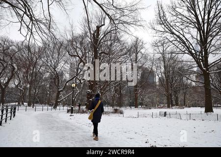 New York, États-Unis. 16 janvier 2024. Vue générale de la première plus grosse chute de neige à Central Park presque après 2 ans avec 1,4 pouces de neige à New York City, NY, USA le 16 janvier 2024. Photo de Charles Guerin/ABACAPRESS.COM crédit : Abaca Press/Alamy Live News Banque D'Images