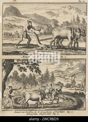 Labourage fermier / battage fermiers, Jan Luyken, 1692 imprimer deux représentations d'une plaque. Imprimer en haut à droite marquée : p. 13. Imprimeur : Amsterdampublisher : labourage de gravure sur papier Utrecht. Battage Sri Lanka Banque D'Images