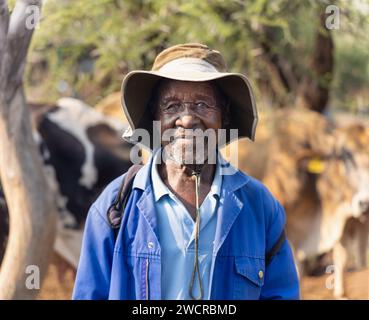 Vieux berger africain avec les vaches dans le champ, village au Botswana Banque D'Images