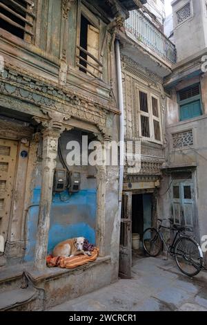 Ahmedabad, Inde - 10 janvier 2024 : maisons traditionnelles dans la vieille ville d'Ahmedabad, Inde. Banque D'Images