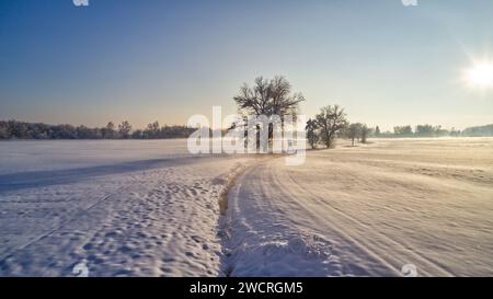 Un paysage hivernal avec un coucher de soleil projetant une lueur sur un champ enneigé Banque D'Images