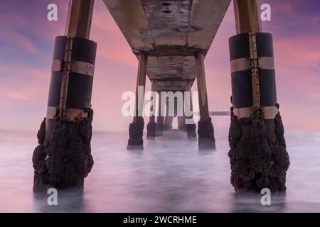 Sous Pacifica Municipal Pier. Pacifica, comté de San Mateo, Californie, États-Unis. Banque D'Images