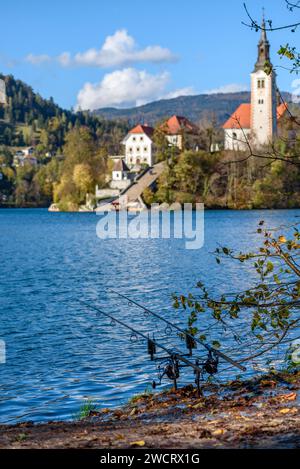 Une charmante île pittoresque sur le lac bénéficiant d'une magnifique église, cannes à pêche sur la rive du lac de Bled en automne. Banque D'Images
