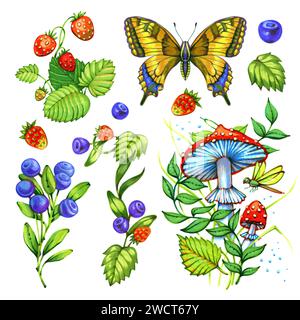 Ensemble de feuilles de forêt d'été. Marqueur aquarelle nature clipart set feuilles colorées, baies, champignons, feuilles, papillon isolat sur fond blanc Banque D'Images