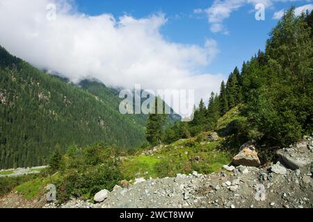 Détail des Alpes dans la vallée de Habachtal, Autriche Banque D'Images
