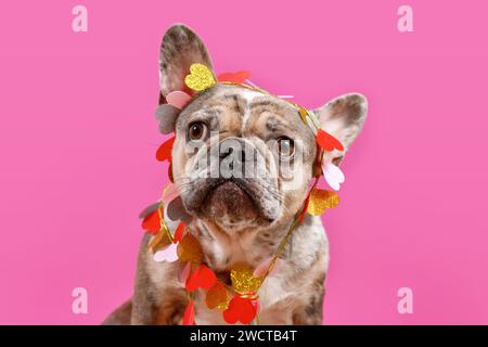 Mignon chien Bulldog français merle portant une guirlande de Saint-Valentin avec des coeurs sur fond rose Banque D'Images