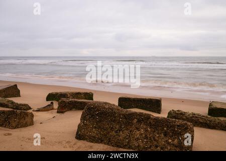 Halichoerus grypus - chiot de phoque gris entre les vieux blocs de béton anti-char sur la plage de Winterton Norfolk Winterton, octobre 2023 Banque D'Images