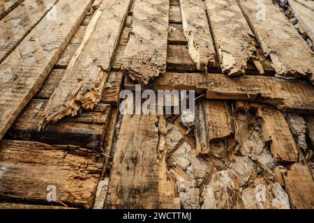 Vieux mur en bois endommagé par des termites. Vue rapprochée. Mur pourri. Vraie photo. Banque D'Images