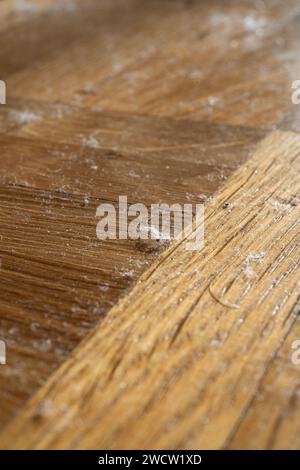 Petites spécifications de poussière et fibre sur les carreaux de sol en bois. Gros plan macro, pas de gens. Banque D'Images