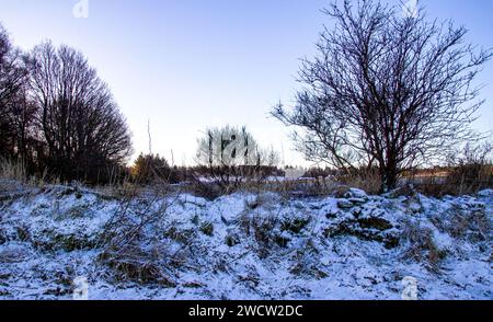 Dundee, Tayside, Écosse, Royaume-Uni. 17 janvier 2024. Météo Royaume-Uni : les chutes de neige nocturnes dans la région rurale de Dundee créent un paysage hivernal spectaculaire sous le soleil de janvier sur les collines Sidlaw et Strathmore Valley. Crédit : Dundee Photographics/Alamy Live News Banque D'Images