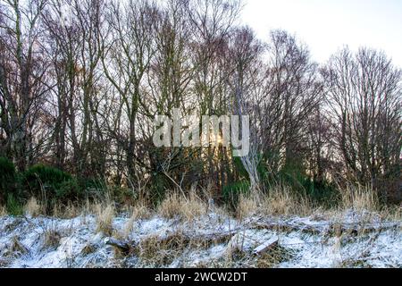 Dundee, Tayside, Écosse, Royaume-Uni. 17 janvier 2024. Météo Royaume-Uni : les chutes de neige nocturnes dans la région rurale de Dundee créent un paysage hivernal spectaculaire sous le soleil de janvier sur les collines Sidlaw et Strathmore Valley. Crédit : Dundee Photographics/Alamy Live News Banque D'Images