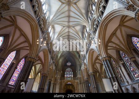 Lincoln, Lincolnshire, Angleterre. Vue à faible angle le long de la nef de la cathédrale de Lincoln à la Great West Window, plafond voûté côtelé proéminent. Banque D'Images