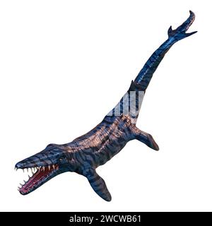 Rendu 3D d'un Mosasaurus, créature marine, dinosaure préhistorique isolé sur fond blanc Banque D'Images