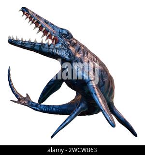 Rendu 3D d'un Mosasaurus, créature marine, dinosaure préhistorique isolé sur fond blanc Banque D'Images