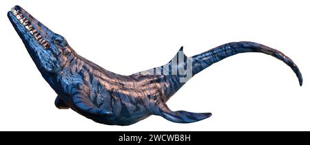 Rendu 3D d'un Mosasaurus, créature marine, dinosaure préhistorique isolé sur fond blanc Banque D'Images