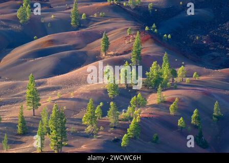 La coulée de lave de fantastique, cône de cendres volcaniques Lassen National Park, Californie Banque D'Images