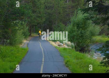 Piste cyclable de la rivière Truckee, bassin du lac Tahoe National Forest, Californie Banque D'Images