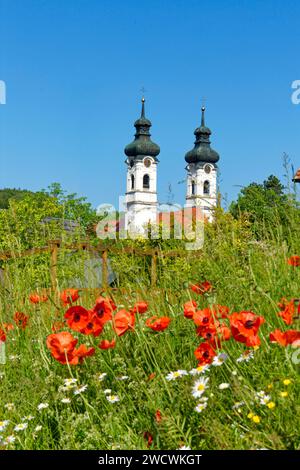 Allemagne, Bade Wurttemberg, Alb souabe (Schwaebische Alb), route baroque souabe supérieure, Zwiefalten, ancienne église du monastère abbatial Banque D'Images