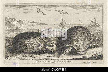 Deux tortues sur la plage, Albert Flamen, imprimeur 1664 : Parisafter design propre par : Parispublisher : ParisFrance papier gravure tortues, tortues Banque D'Images