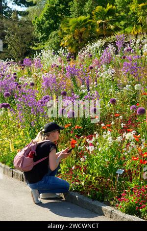 Allemagne, Bade Wurttemberg, Lac de Constance (Bodensee), île Mainau, île jardin sur le Lac de Constance Banque D'Images