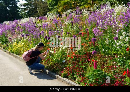 Allemagne, Bade Wurttemberg, Lac de Constance (Bodensee), île Mainau, île jardin sur le Lac de Constance Banque D'Images