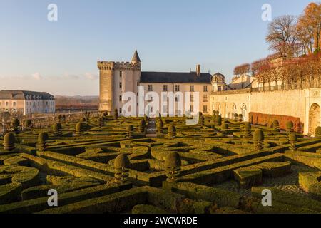 France, Indre et Loire, Vallée de la Loire classée au patrimoine mondial par l'UNESCO, Villandry, Château et Jardins de Villandry, construit au XVIe siècle, style Renaissance, jardins créés par Joachim Carvallo au début du XXe siècle et entretenus par ses descendants Banque D'Images