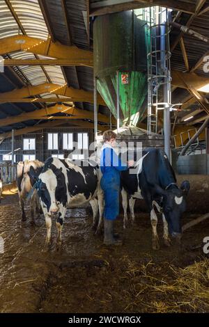 France, Indre et Loire, Sonzay, ferme Gautraie, la famille Kuipers, originaire des pays-Bas, installé à Sonzay en 1993. Ils y élèvent des vaches laitières et transforment une partie du lait en crème glacée Gouda au beurre et au lait cru. Banque D'Images