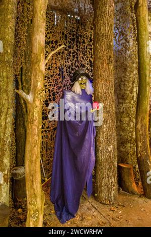 France, Indre et Loire,Loches, Noël au pays des châteaux de la maison royale, scénographie « Once Upon a Time » par Compagnie Off basée sur des contes traditionnels Banque D'Images