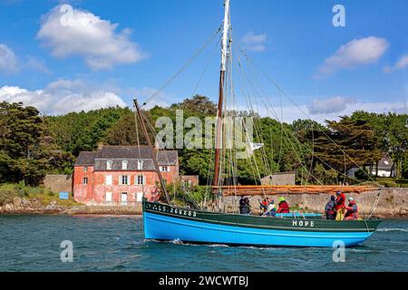 France, Morbihan, Golfe du Morbihan, Sene, espoir, sloop caseyeur, devant la maison rose de Port-Anna, édition Gulf week 2023 Banque D'Images