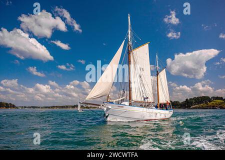 France, Morbihan, Golfe du Morbihan, le Martroger, bouée ketch de l'île de Noirmoutier, édition Gulf week 2023 Banque D'Images