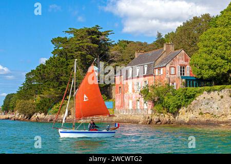 France, Morbihan, Golfe du Morbihan, Sene, le Major devant la maison rose de Port-Anna, édition Gulf week 2023 Banque D'Images