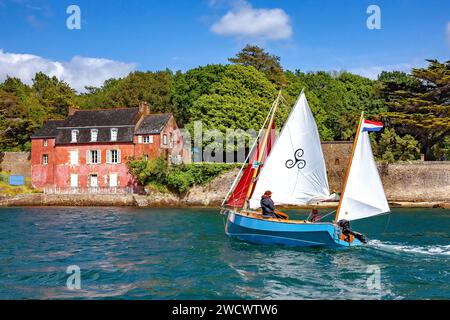 France, Morbihan, Golfe du Morbihan, Sene, Alskar devant la maison rose de Port-Anna, édition Gulf week 2023 Banque D'Images