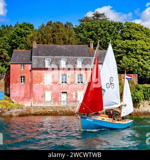 France, Morbihan, Golfe du Morbihan, Sene, Alskar devant la maison rose de Port-Anna, édition Gulf week 2023 Banque D'Images