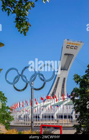 Canada, province de Québec, Montréal, Hochelaga-Maisonneuve, le stade olympique et sa tour, œuvres de l'architecte Roger Taillibert, les anneaux olympiques Banque D'Images