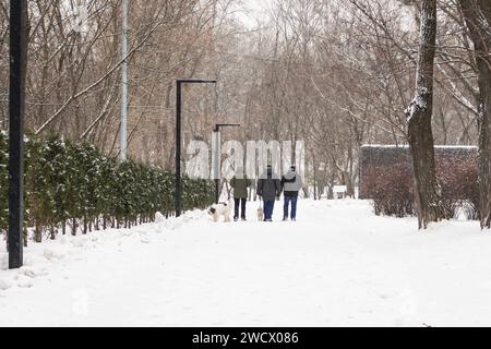 Les gens marchant avec des chiens en tempête de neige. Hiver dans le parc. Ruelle gelée dans la neige, Kiev, Ukraine. Temps froid et neigeux. Paysage hivernal idyllique. Banque D'Images