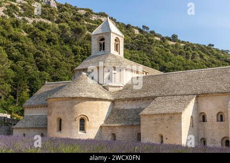 France, Vaucluse, Gordes, abbaye notre-Dame-de-Sénanque du XIIème siècle Banque D'Images