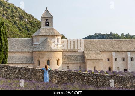 France, Vaucluse, Gordes, abbaye notre-Dame-de-Sénanque du XIIème siècle Banque D'Images