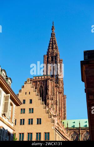 La France, Bas Rhin, Strasbourg, vieille ville classée au Patrimoine Mondial de l'UNESCO, la cathédrale de Notre Dame Banque D'Images