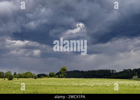 France, Doubs, Haut-Doubs, paysage, tempête Banque D'Images