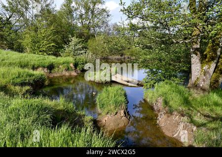 France, territoire de Belfort, Brebotte, rivière, Bourbeuse, remblai, banque Banque D'Images