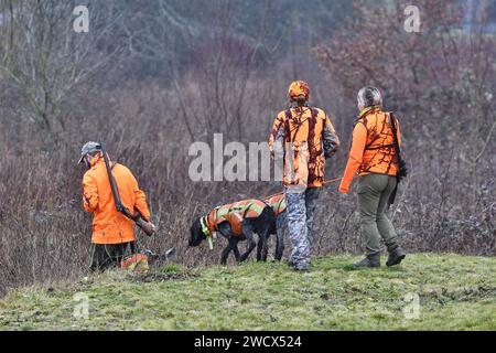 France, Doubs, Brognard, chasseur, chasse au sanglier Banque D'Images