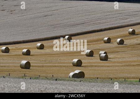 France, Doubs, paysage agricole, balles de paille Banque D'Images