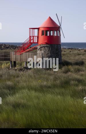 Portugal, archipel des Açores, île de Pico, Lajes de Pico, moulin à vent hollandais rouge placé au milieu d'une lande face à l'océan Banque D'Images