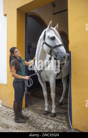 Espagne, Andalousie, Jerez de la Frontera, école royale andalouse d'art équestre, marié à côté d'un cheval blanc devant les écuries Banque D'Images